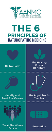 6-principles-of-naturopathic-medicine-christy-kithil-naturopathic-doctor-santa-fe
